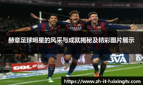 赫章足球明星的风采与成就揭秘及精彩图片展示